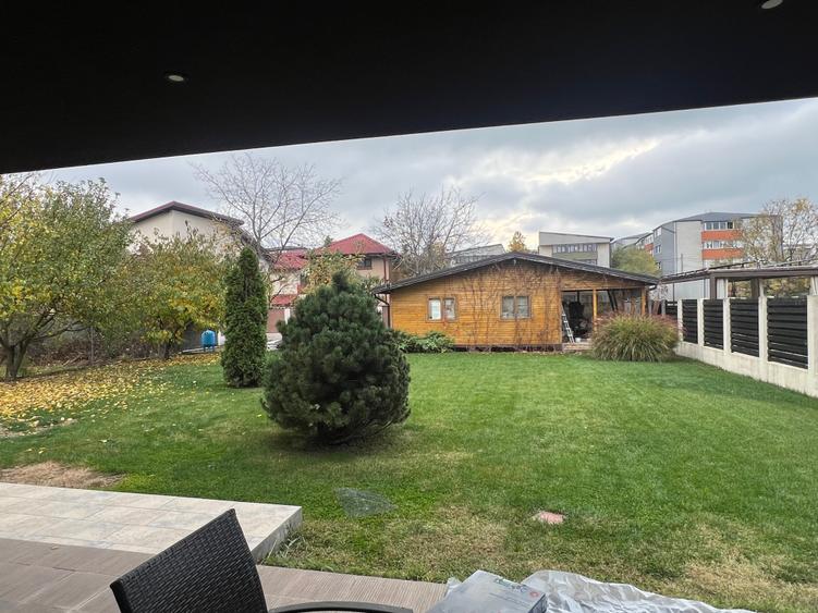 Dimitrie Leonida Metrou - 42