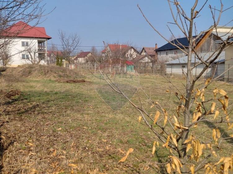 Teren intravilan 1,000mp Scheia / DN 17 - 26