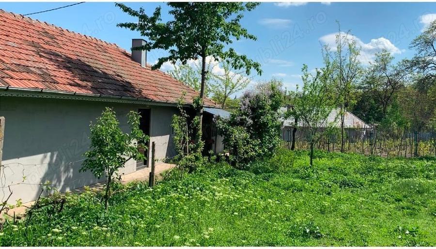 Teren 2100 metri Casa Traditionala - 5