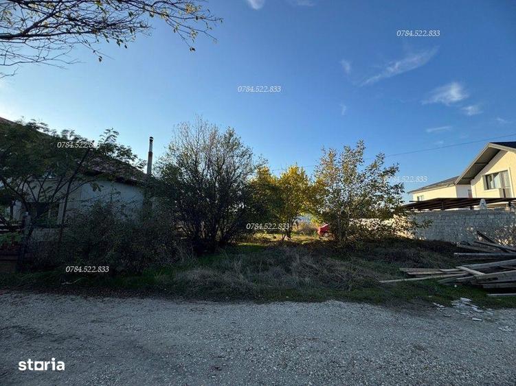 Teren intravilan + curent electric bransat in comuna Berceni IF - 4