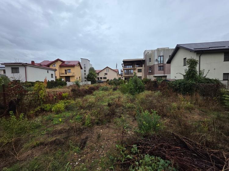 B-ul Nicolae Grigorescu, chiar la pasajul peste Spaliul Unirii, - 1