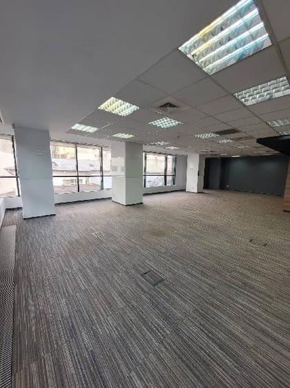 Casa Daneza, Icoanei, 259 - 632 mp  0% comision! - 13