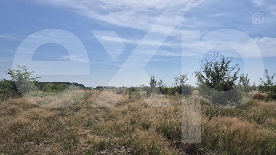 Teren intravilan de vânzare in Trivale - zona Magic | 500 mp - 2