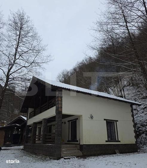 CABANA DACICA Refugiu premium la poalele Muntilor Dacici, in inima - 19