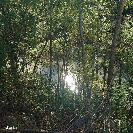 Terenuri intravilane de vanzare| Ciolpani |Acces rapid DN1 & A0 - 7