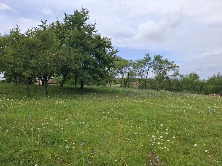 Teren intravilan Fetindia jud Salaj - 2