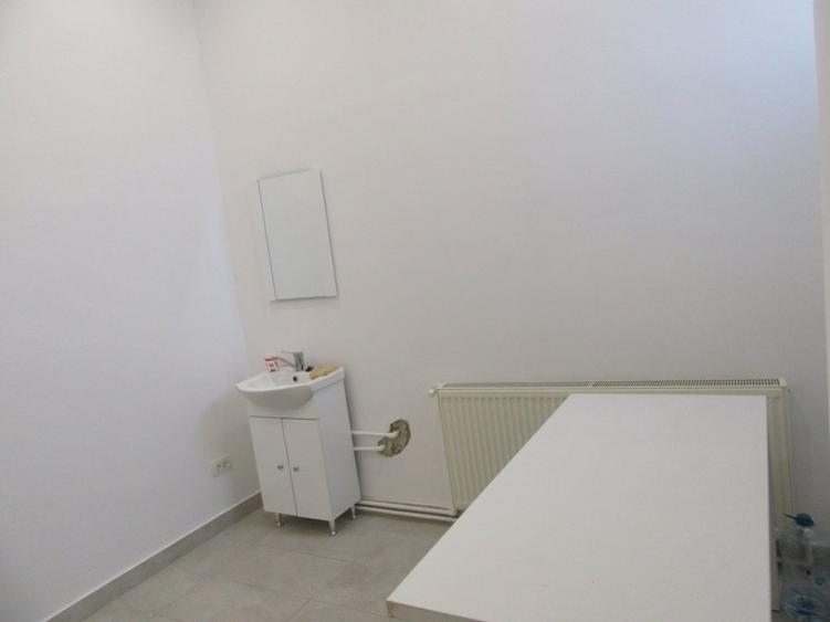 Inchiriere Spatiu Comercial Teiul Doamnei - 26