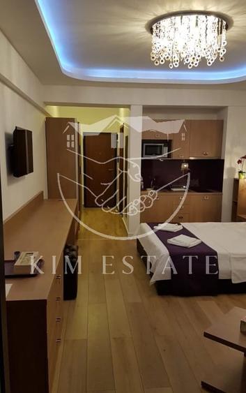 Studio de inchiriat statiunea Mamaia - 3