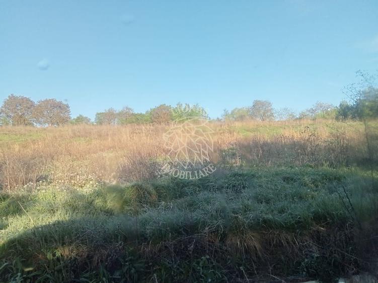 Teren intravilan 100 ari  front 80 ml utilități drum asfaltat Ghirolt Gherla - 4