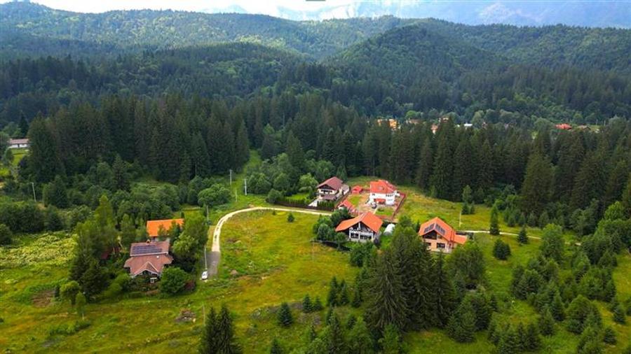 FILM!Refugiu elegant,cadru natural rar, vecinatati discrete,1.700 mp domeniu ver - 42