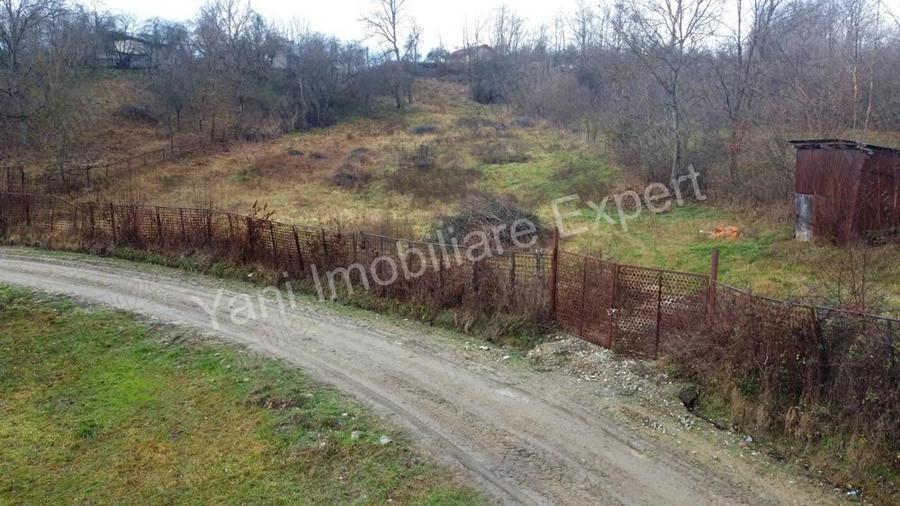 Teren de vanzare in comuna Valea Iasului, jude? Arge?. - 7