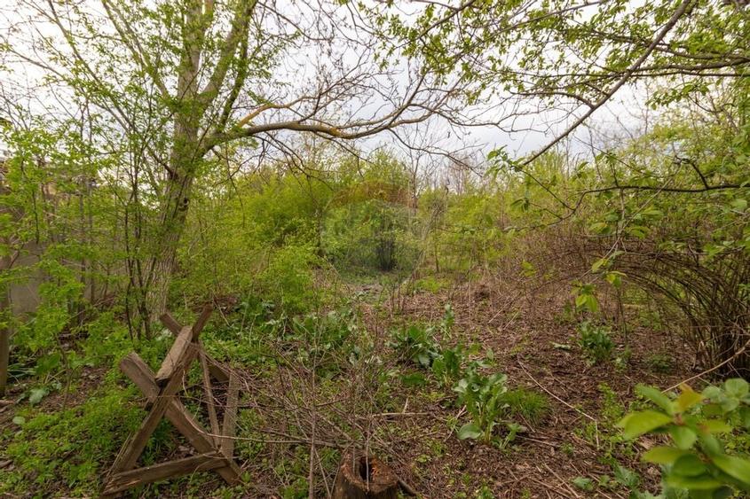 Teren intravilan 2000 mp de Vanzare Pantelimon - Rascoalei - 10