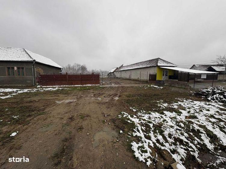 Teren de inchiriat - 3