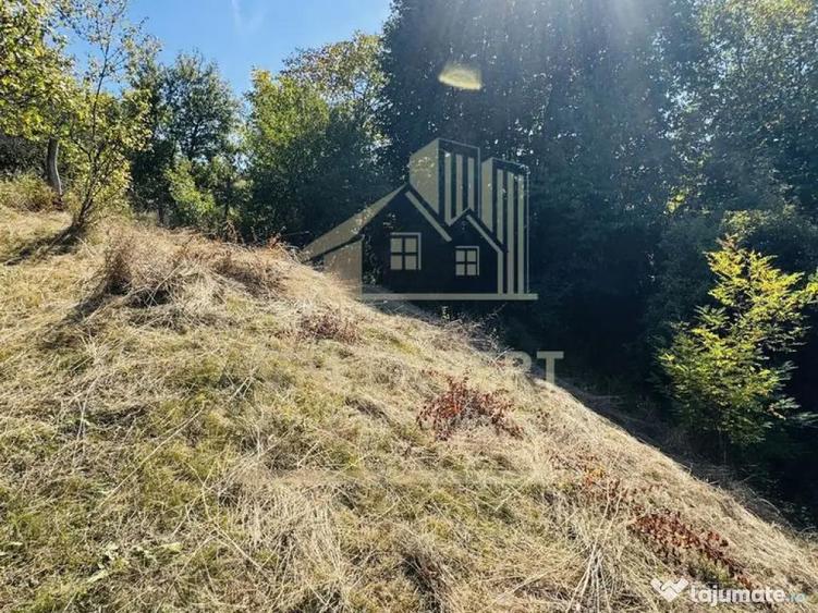 TEREN INTRAVILAN 3234 MP LERE?TI VOINE?TI ARGE? - 1