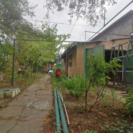 Vand teren sector 1, Chitila - 4