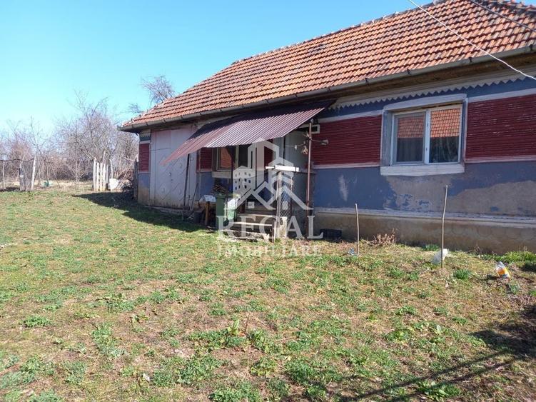 Două case de vânzare – Cerisor – teren generos 6996 mp - 8