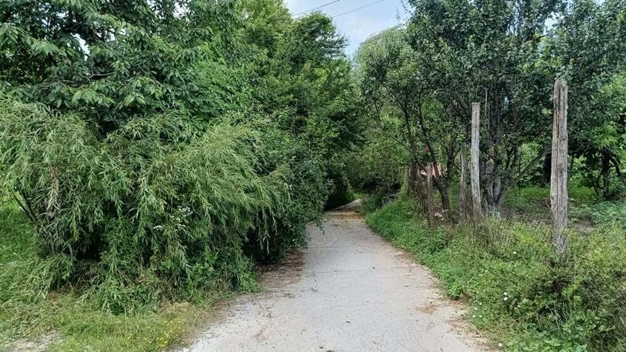 Casa si livada, de vanzare in localitatea Pausesti-Maglasi, sat Coasta. - 1