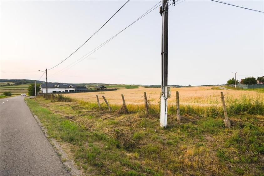 RECO Teren intravilan pentru casa 1000 mp Lazareni - 10