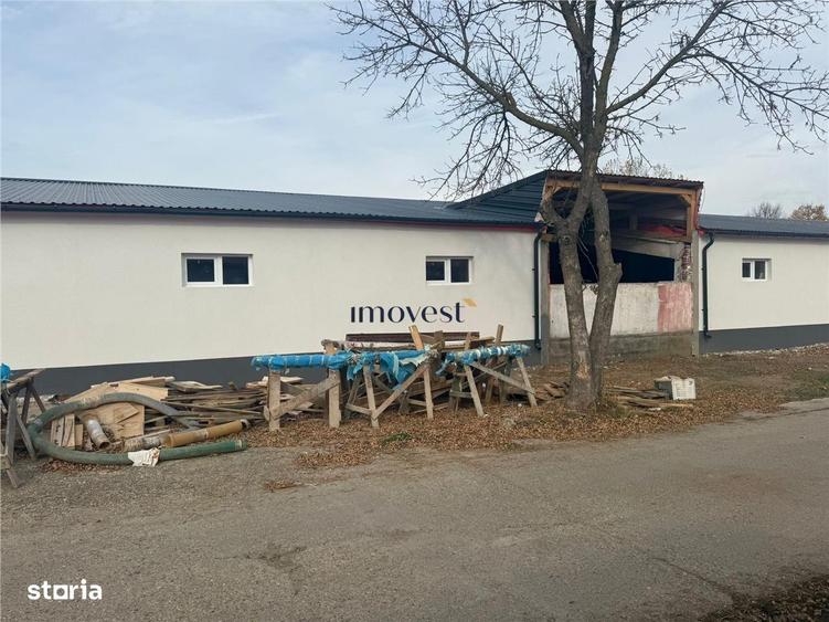 De vanzare hale renovate complet de la 300 la 1200 mp - 5