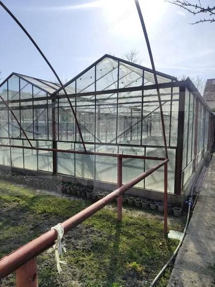 Casa spatioasa Gai - 4