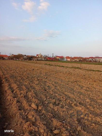 Teren Alparea , Str. Principala - 2