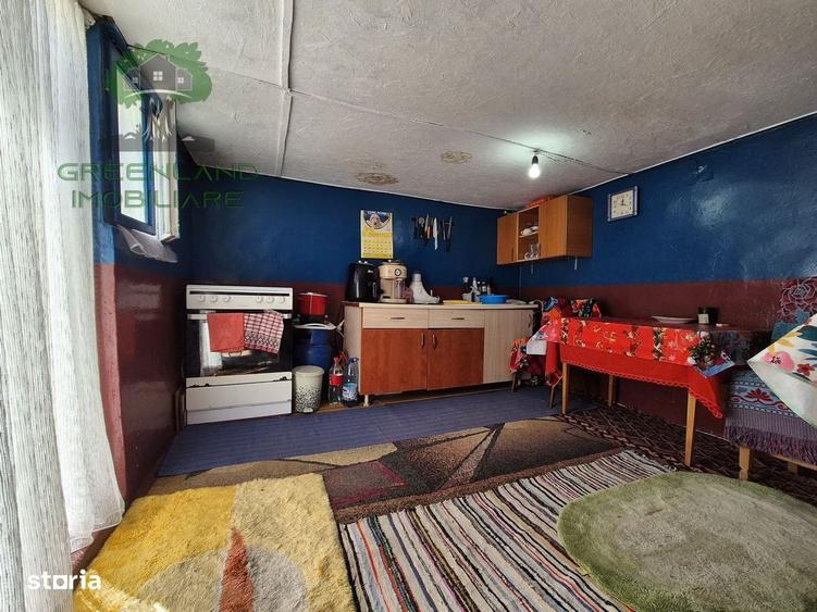 Casa 4 camere, TEREN 3024mp, Vanatori-Vulturi - 8