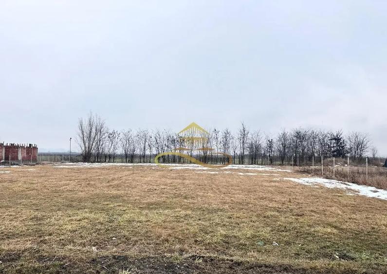 Teren de vanzare Siretu Saucesti Bacau - 5