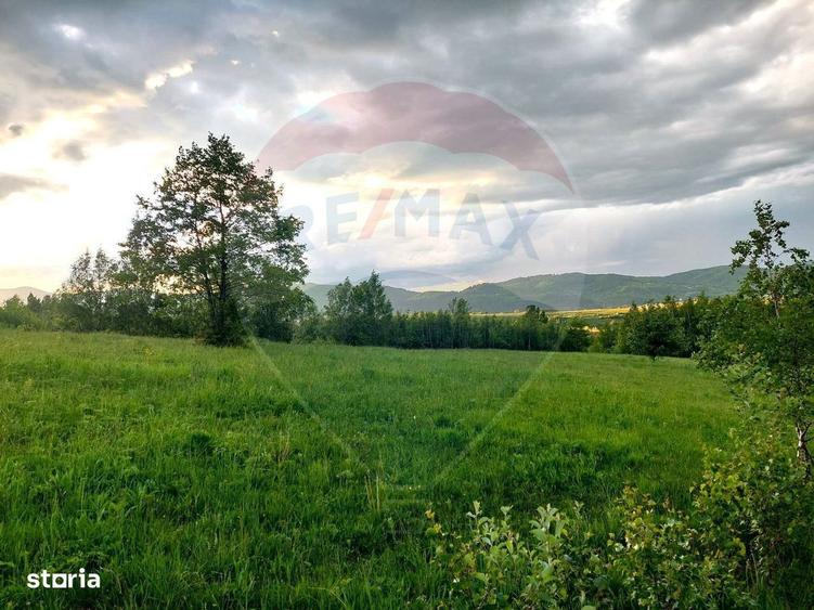 Teren Bran-Zarnesti - Tohanita, 4223mp - 5