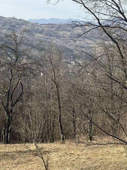 Teren intravilan 2788 mp deschidere 55 ml cu vedere panoramica ! - 18