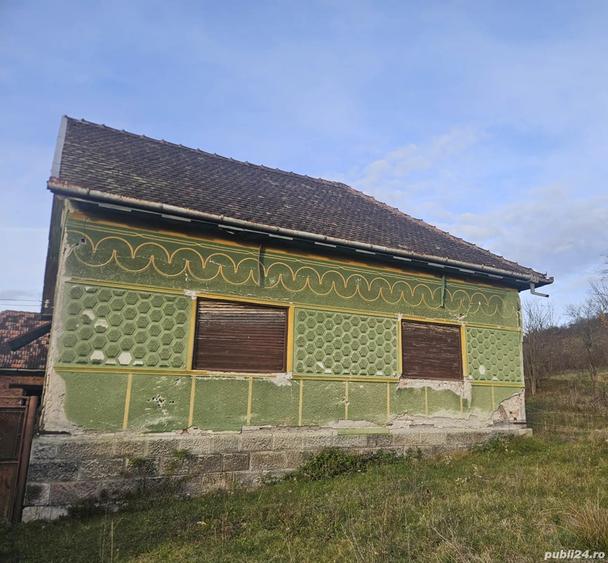 Casa de vanzare la ?ara - 5