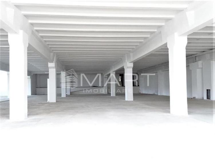 Hala industriala acces TIR, 1000mp Cisnadie - 5