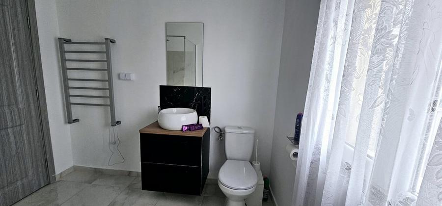 Penthouse de inchiriat-Marasti(Cinema Marasti) - 11