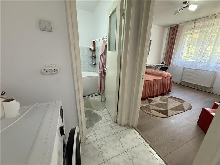 Miron Costin - zona Zimbru - apartament + teren proprietate - 7