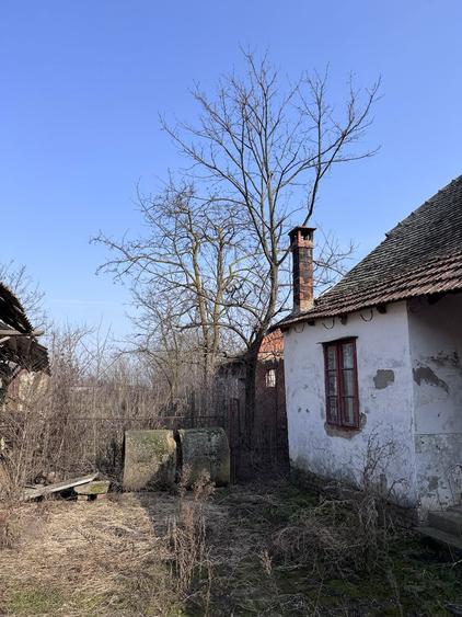 Vand casa locuibila in teremia mare - 2