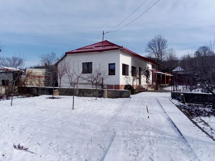 Casa de vanzare la tara - 2