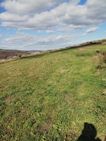 Teren extravilan 4600mp - 4