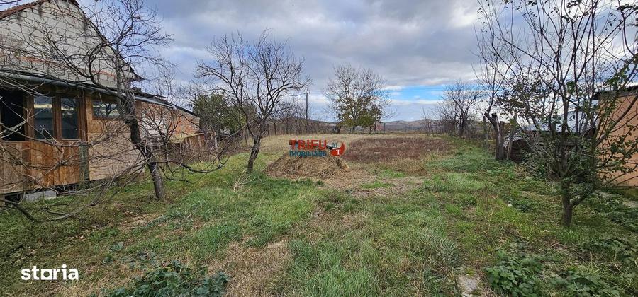 Casa de inchiriat in Micesti - 2