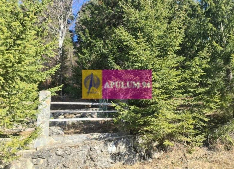 Teren de v&acirc;nzare &icirc;n Predeal - Zona Forban - 8