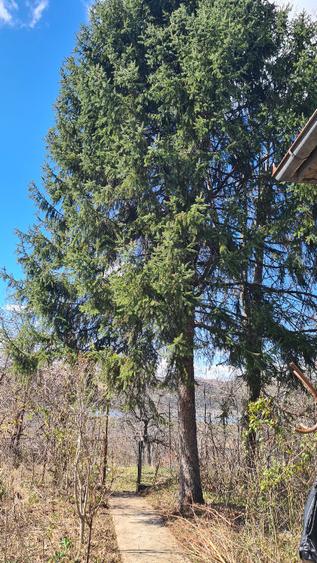 cas de vanzare in statiunea Pucioasa - 5