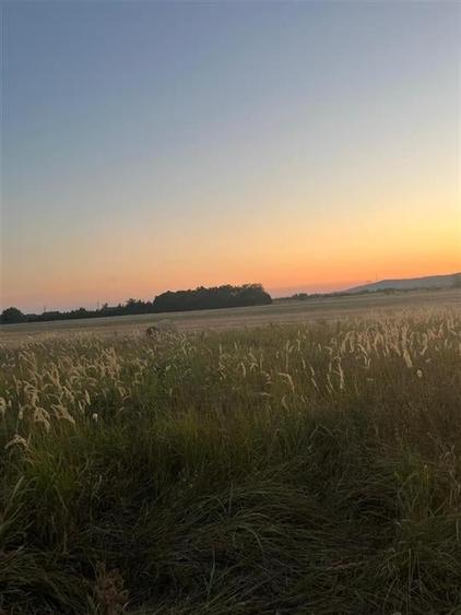 RECO Teren intravilan pentru casa Osorhei cu PUZ - 12