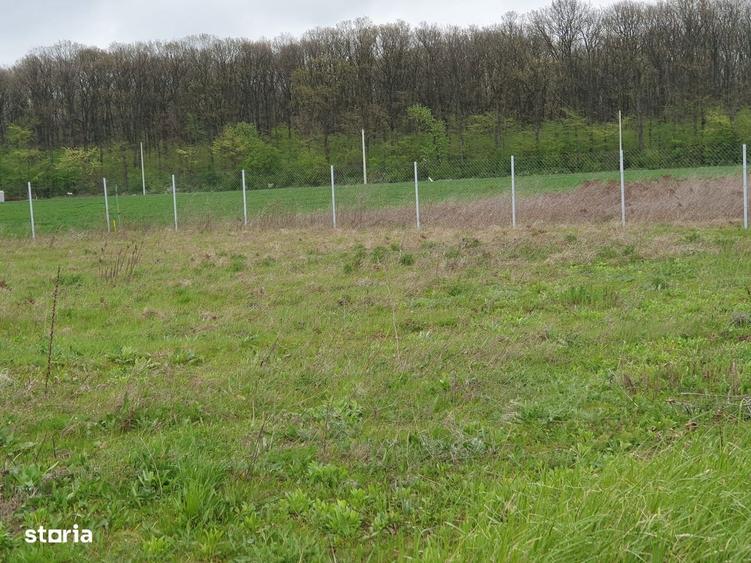 Teren 1500 mp Ghermanesti in proximitatea padurii str Nicopole - 5