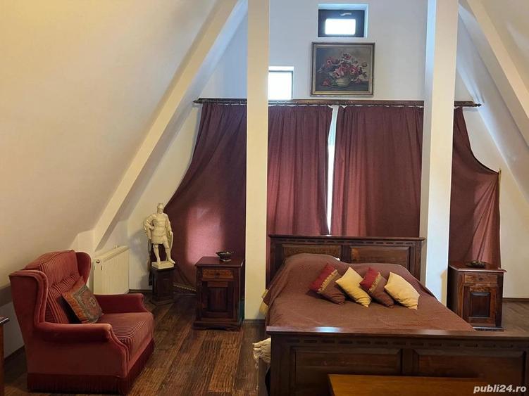 Pensiune agroturistica de vanzare in localitatea Horodnic de Sus jud.Suceava - 9