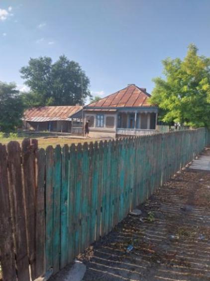 Casa bătrânesca. - 5