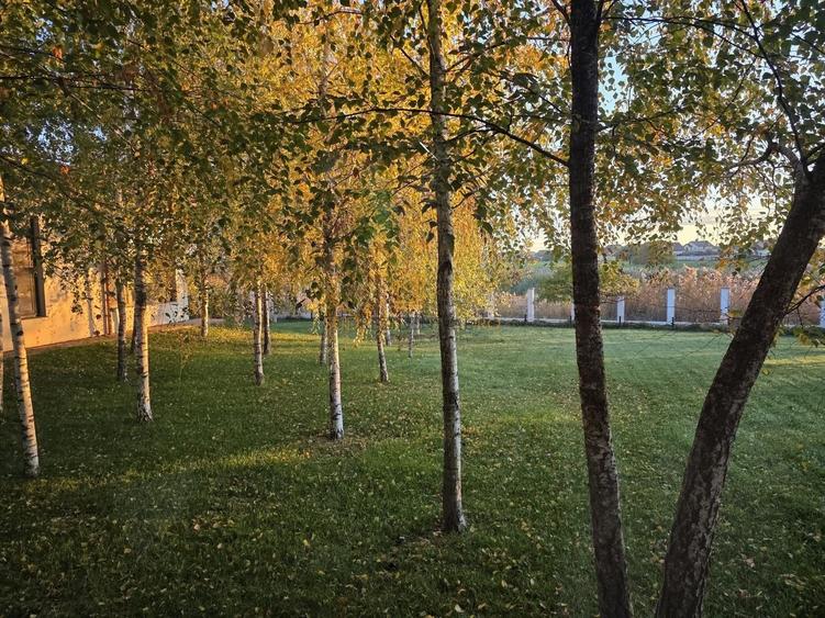 Resedinta spectaculoasa  – Vila exclusivista deschidere directa la lac - 38