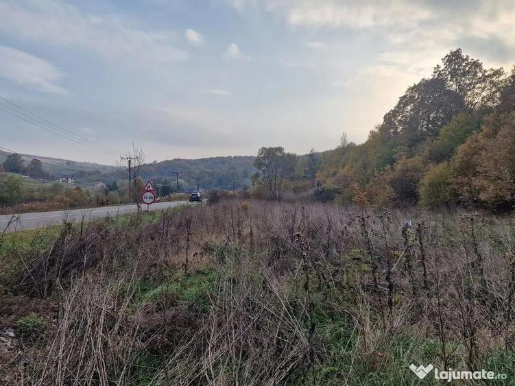 Teren 1,717mp Margineni / Strada Sat podis - 1