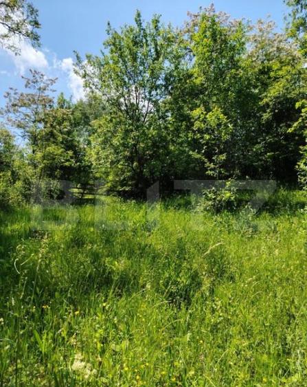 Teren intravilan Pietrosita - 2