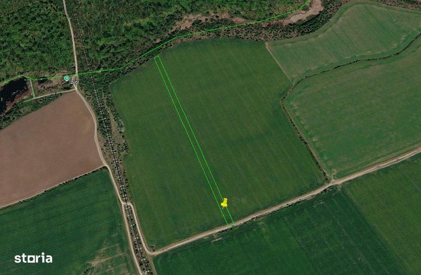 Teren extravilan 7770 mp ~ Snagov ~ Ilfov - 2