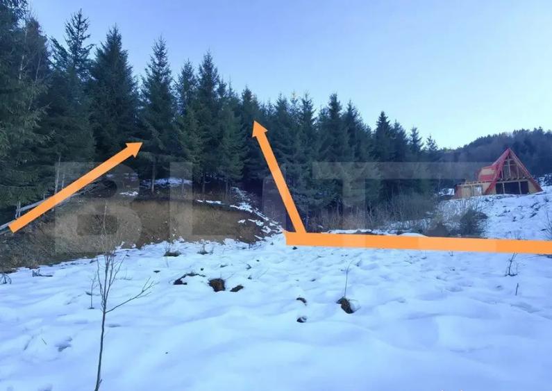 Teren Colibita, 1120 mp - 4