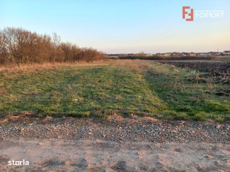 Teren extravilan industrial | 7.826 mp | 2 fronturi stradale | Ghiroda - 5