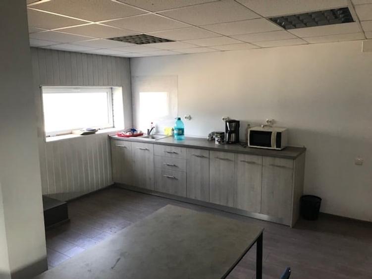 Hala 998 mp cu teren 3086 mp situata in DN13 Halchiu spre Feldioara! - 13